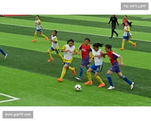 大连赛事网官网,大连比赛